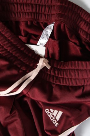Γυναικείο αθλητικό παντελόνι Adidas, Μέγεθος S, Χρώμα Κόκκινο, Τιμή 21,57 €