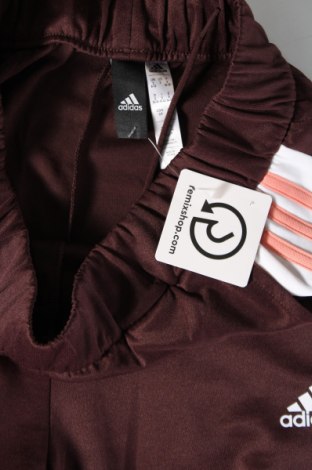 Damskie spodnie sportowe Adidas, Rozmiar S, Kolor Brązowy, Cena 123,95 zł
