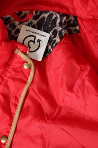 Dámska bunda , Veľkosť L, Farba Červená, Cena  18,75 €