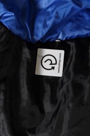 Dámska bunda , Veľkosť L, Farba Modrá, Cena  18,75 €