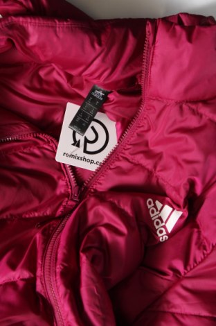 Damenjacke Adidas, Größe M, Farbe Rosa, Preis 27,87 €