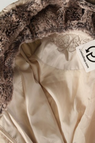 Γυναικείο μπουφάν Bexleys, Μέγεθος XL, Χρώμα  Μπέζ, Τιμή 28,76 €