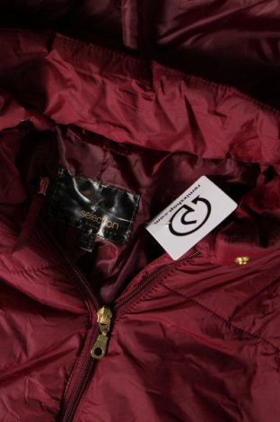 Γυναικείο μπουφάν Bpc Bonprix Collection, Μέγεθος XXL, Χρώμα Κόκκινο, Τιμή 23,32 €