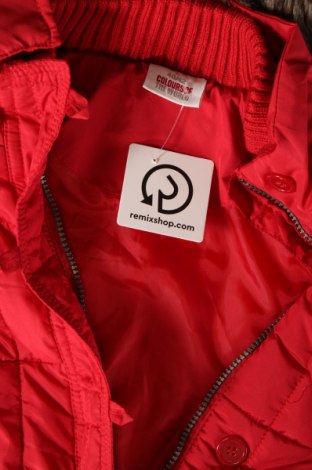 Γυναικείο μπουφάν Colours Of The World, Μέγεθος L, Χρώμα Κόκκινο, Τιμή 18,30 €
