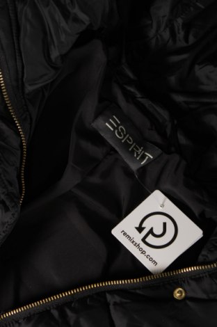 Γυναικείο μπουφάν Esprit, Μέγεθος S, Χρώμα Μαύρο, Τιμή 21,99 €