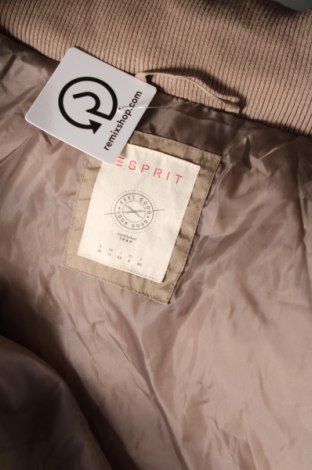 Γυναικείο μπουφάν Esprit, Μέγεθος M, Χρώμα  Μπέζ, Τιμή 22,27 €