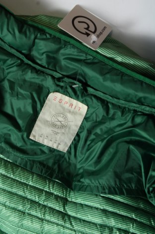 Damenjacke Esprit, Größe XL, Farbe Grün, Preis 23,66 €