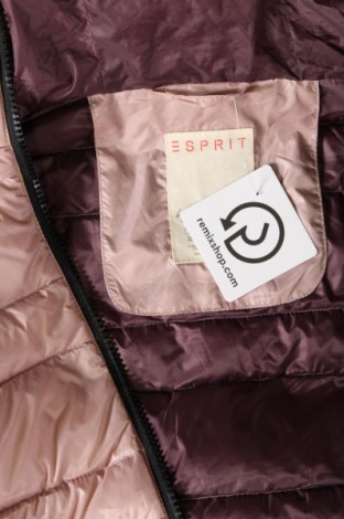 Damenjacke Esprit, Größe M, Farbe Rosa, Preis 25,05 €