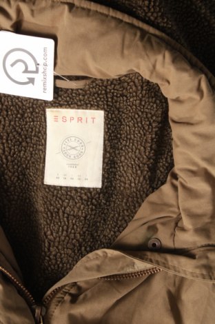 Γυναικείο μπουφάν Esprit, Μέγεθος L, Χρώμα Καφέ, Τιμή 25,05 €