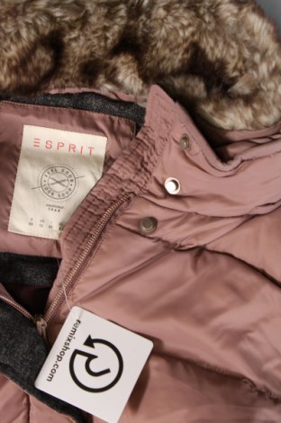 Γυναικείο μπουφάν Esprit, Μέγεθος M, Χρώμα Βιολετί, Τιμή 46,39 €