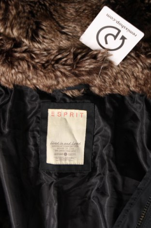 Damenjacke Esprit, Größe M, Farbe Schwarz, Preis 26,62 €