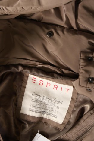 Дамско яке Esprit, Размер M, Цвят Кафяв, Цена 40,50 лв.