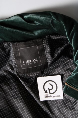 Dámska bunda  Geox, Veľkosť XL, Farba Zelená, Cena  46,04 €