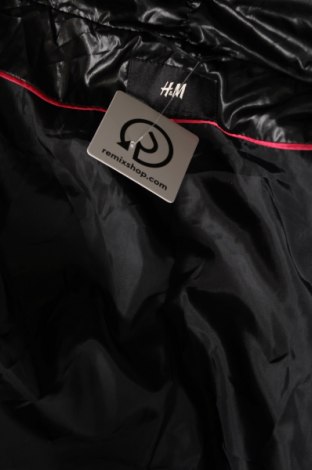 Damenjacke H&M, Größe XL, Farbe Schwarz, Preis 23,81 €