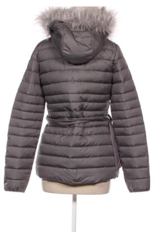 Damenjacke Hollister, Größe S, Farbe Grau, Preis 28,18 €