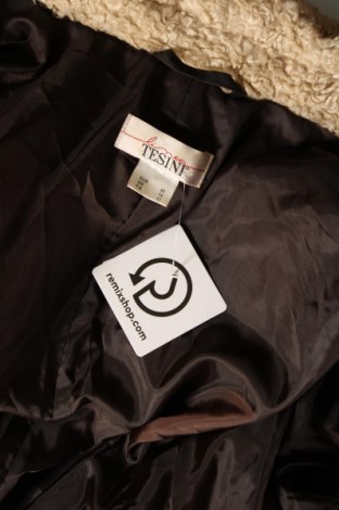 Damenjacke Linea Tesini, Größe M, Farbe Braun, Preis 28,18 €