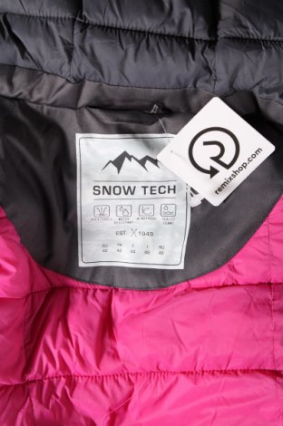 Γυναικείο μπουφάν SnowTech, Μέγεθος L, Χρώμα Γκρί, Τιμή 21,71 €