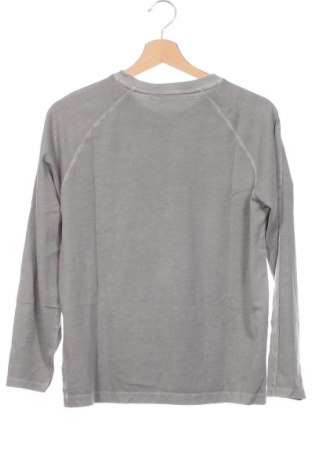 Kinder Shirt Calvin Klein Jeans, Größe 11-12y/ 152-158 cm, Farbe Grau, Preis 31,96 €
