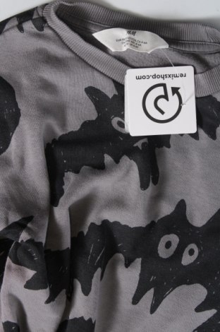 Kinder Shirt H&M, Größe 4-5y/ 110-116 cm, Farbe Grau, Preis € 3,42