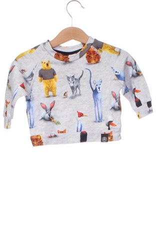 Παιδική μπλούζα Molo, Μέγεθος 3-6m/ 62-68 εκ., Χρώμα Πολύχρωμο, Τιμή 9,21 €