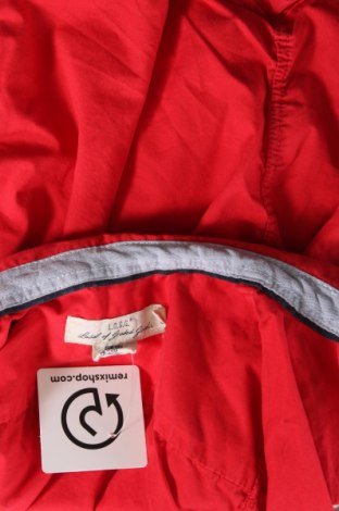 Dětská košile  H&M L.O.G.G., Velikost 5-6y/ 116-122 cm, Barva Červená, Cena  152,00 Kč