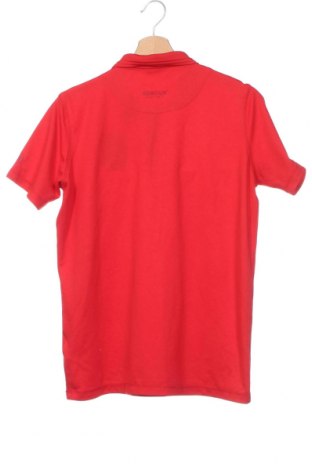 Dziecięcy T-shirt Abacus, Rozmiar 14-15y/ 168-170 cm, Kolor Czerwony, Cena 70,37 zł