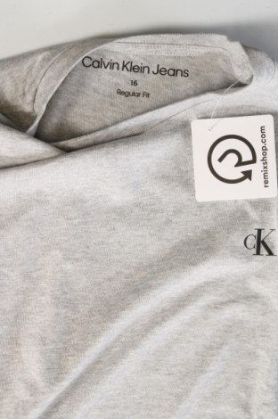 Dziecięcy T-shirt Calvin Klein Jeans, Rozmiar 15-18y/ 170-176 cm, Kolor Szary, Cena 85,83 zł