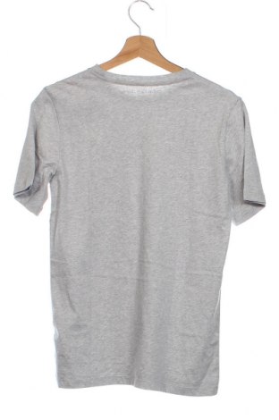 Παιδικό μπλουζάκι Calvin Klein Jeans, Μέγεθος 15-18y/ 170-176 εκ., Χρώμα Γκρί, Τιμή 16,60 €