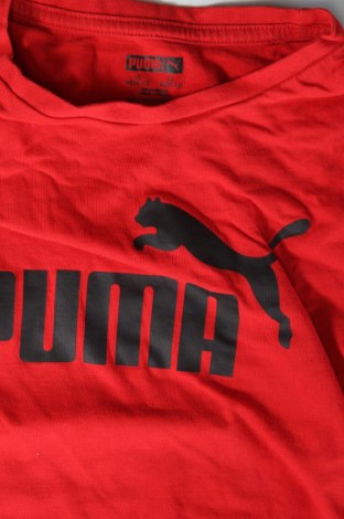 Dziecięcy T-shirt PUMA, Rozmiar 10-11y/ 146-152 cm, Kolor Czerwony, Cena 80,60 zł