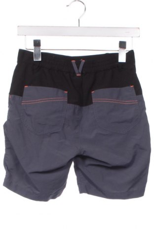 Kinder Shorts Icepeak, Größe 11-12y/ 152-158 cm, Farbe Grau, Preis € 16,44