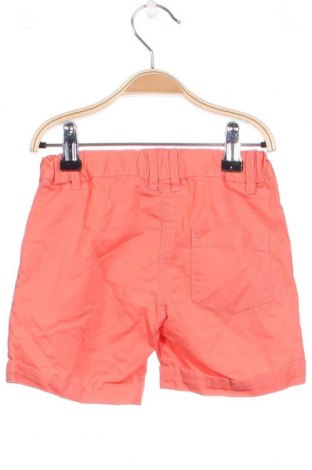 Kinder Shorts Impidimpi, Größe 2-3y/ 98-104 cm, Farbe Orange, Preis € 3,87