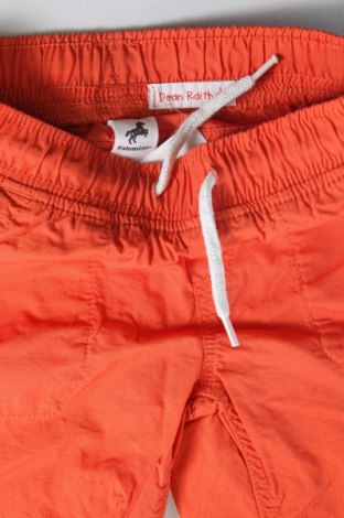 Pantaloni scurți pentru copii Palomino, Mărime 5-6y/ 116-122 cm, Culoare Portocaliu, Preț 19,90 Lei