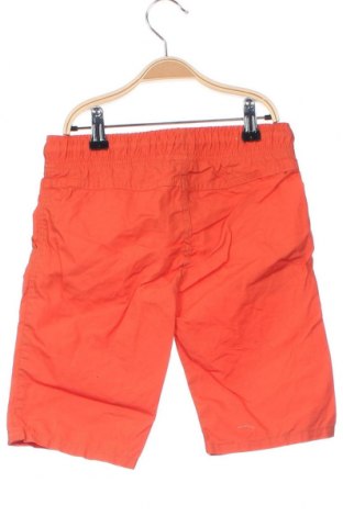 Kinder Shorts Palomino, Größe 5-6y/ 116-122 cm, Farbe Orange, Preis € 3,99