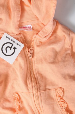 Kinder Sweatshirts Pepco, Größe 12-18m/ 80-86 cm, Farbe Orange, Preis € 6,08