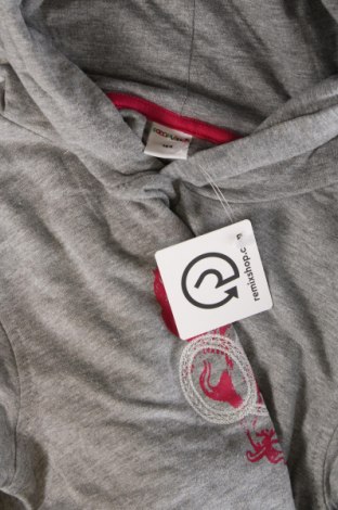 Kinder Sweatshirts Pocopiano, Größe 12-13y/ 158-164 cm, Farbe Grau, Preis € 7,20