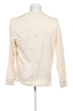 Ανδρική μπλούζα Abercrombie & Fitch, Μέγεθος L, Χρώμα  Μπέζ, Τιμή 50,10 €