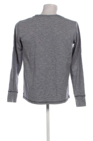 Herren Shirt Campus, Größe M, Farbe Grau, Preis € 13,22