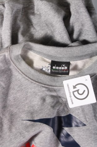 Ανδρική μπλούζα Diadora, Μέγεθος L, Χρώμα Γκρί, Τιμή 17,88 €