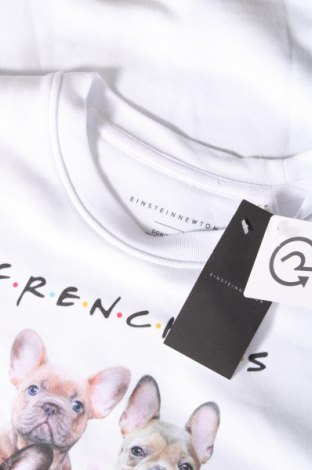 Herren Shirt Einstein&Newton, Größe S, Farbe Weiß, Preis 7,99 €