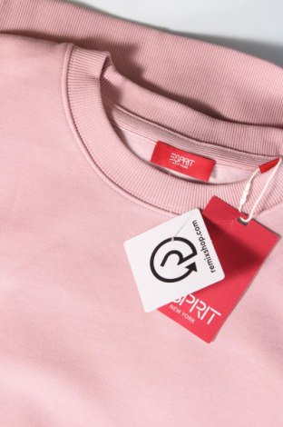 Ανδρική μπλούζα Esprit, Μέγεθος L, Χρώμα Ρόζ , Τιμή 15,98 €