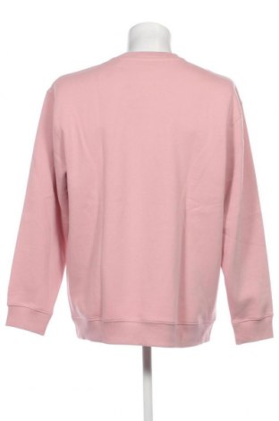 Herren Shirt Esprit, Größe L, Farbe Rosa, Preis 15,98 €