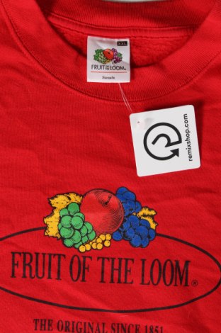 Herren Shirt Fruit Of The Loom, Größe XXL, Farbe Rot, Preis € 5,95
