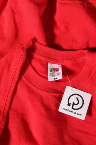 Ανδρική μπλούζα Fruit Of The Loom, Μέγεθος M, Χρώμα Κόκκινο, Τιμή 5,29 €