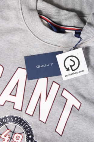 Herren Shirt Gant, Größe S, Farbe Grau, Preis 75,26 €