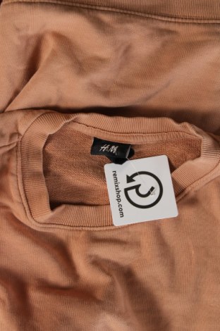 Мъжка блуза H&M, Размер L, Цвят Бежов, Цена 10,45 лв.