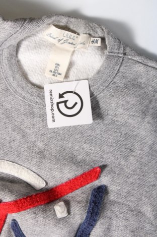 Herren Shirt H&M L.O.G.G., Größe L, Farbe Grau, Preis 6,61 €