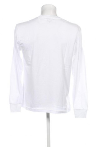 Ανδρική μπλούζα Hollister, Μέγεθος M, Χρώμα Λευκό, Τιμή 10,55 €