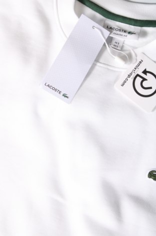 Ανδρική μπλούζα Lacoste, Μέγεθος L, Χρώμα Λευκό, Τιμή 56,45 €