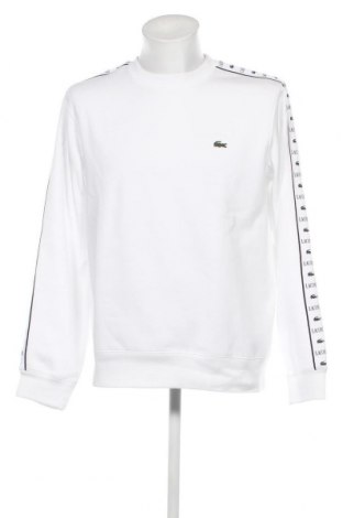 Herren Shirt Lacoste, Größe L, Farbe Weiß, Preis 60,21 €