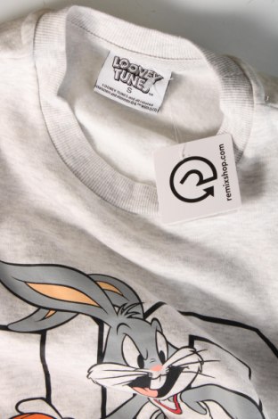 Pánske tričko  Looney Tunes, Veľkosť S, Farba Sivá, Cena  10,95 €